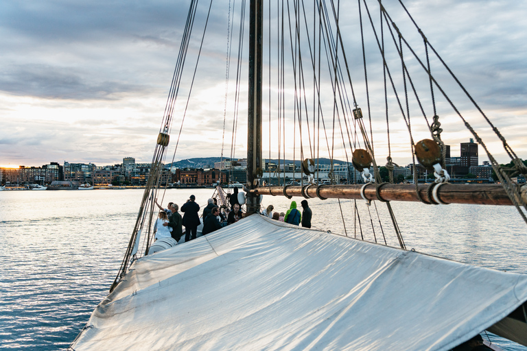 Oslo: avondtocht van 3 uur per boot door fjorden, met buffet