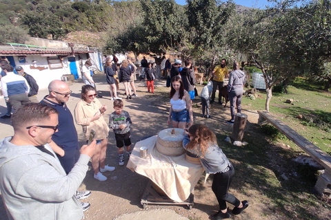 Heraklion: Self-Driving 4X4 Jeep Off-Road Tour with Lunch