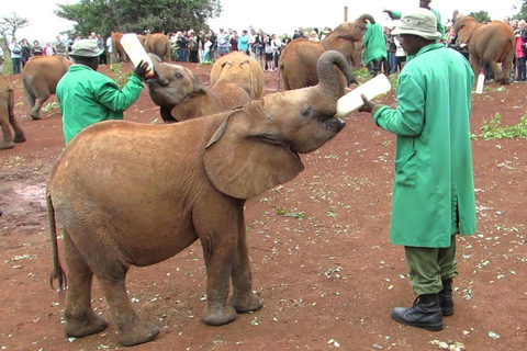 Nairobi nationalpark, elefant- och Bomas of Kenya-äventyr