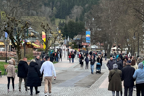 Vanuit Bazel: privé-excursie naar het Zwarte Woud, watervallen en meren