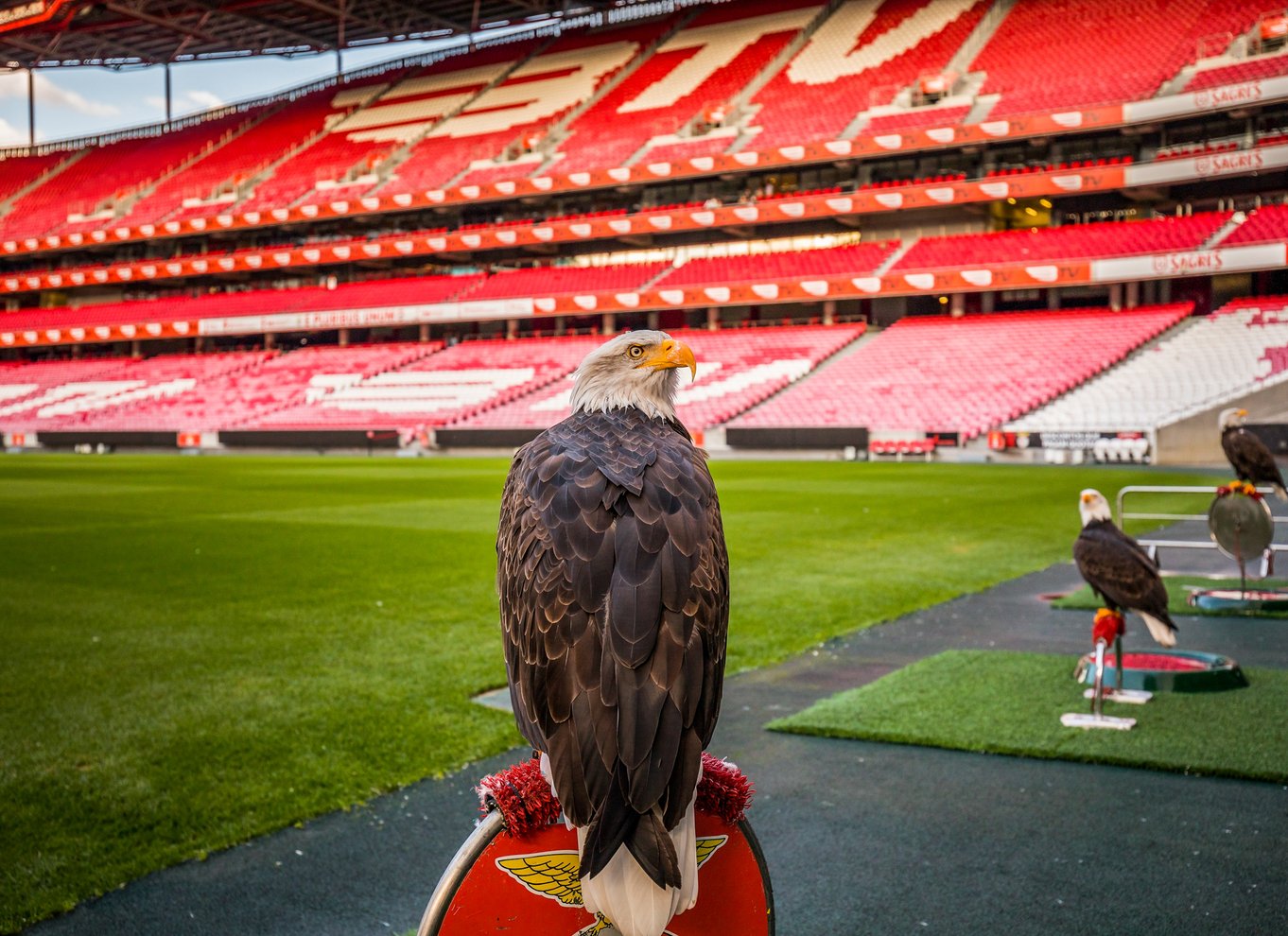 Lissabon: Luz Stadium Tour & SL Benfica Museum billet m/Scarf