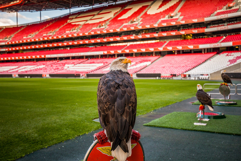 Lisbon: Luz Stadium Tour and SL Benfica Museum Ticket Standard Ticket