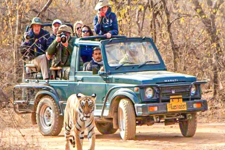 Excursion privée d'une journée avec safari de tigres au départ de Jaipur, tout compris