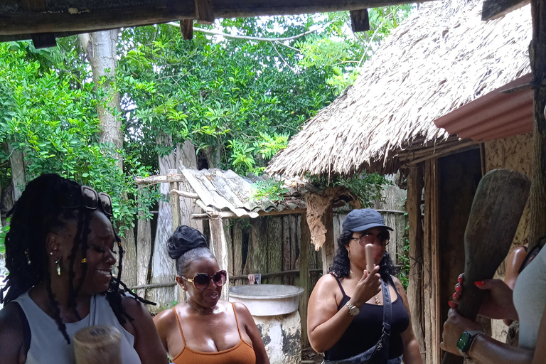 Cartagena: Tour de Palenque, show de dança, almoço, serviço de busca incluídoPasseio cultural em Palenque.