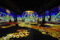 Dortmund, Phoenix des Lumières Entry Ticket - Housity