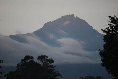 1-Day Kilimanjaro Hike to Mandara Hut