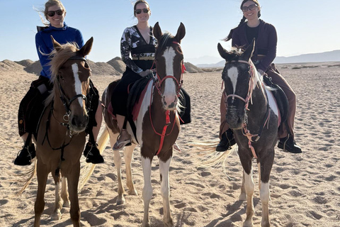 Hurghada: Horse Riding in the Desert & Beach Experience 1 HR Desert Horse Riding Experience without transfer