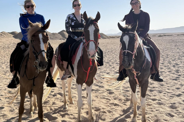 Hurghada: Horse Riding in the Desert & Beach Experience 1 HR Desert Horse Riding Experience without transfer