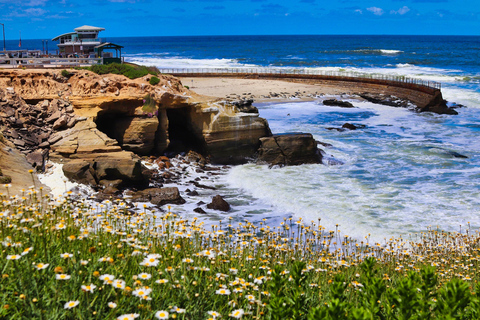 Een wandeling langs de zee: La Jolla&#039;s verborgen schatten wandeltour