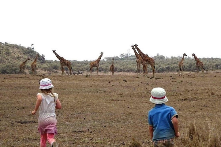 Day Trip to Mt. Longonot Hike and Lake Naivasha Boat Ride Mt. Longonot Hike and Lake Naivasha without Entry fee