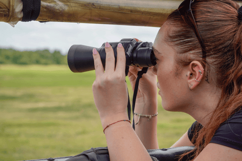 Minneriya: Safari de elefantes no Parque Nacional com serviço de busca no hotel