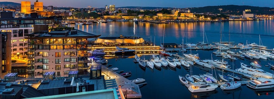 Le meilleur d'Oslo : visite à pied avec un guide de la région