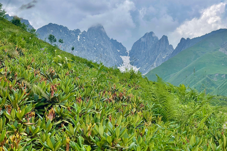 Tbilisi: Abudelauri Lakes Guided Hike with 4x4 Transfer