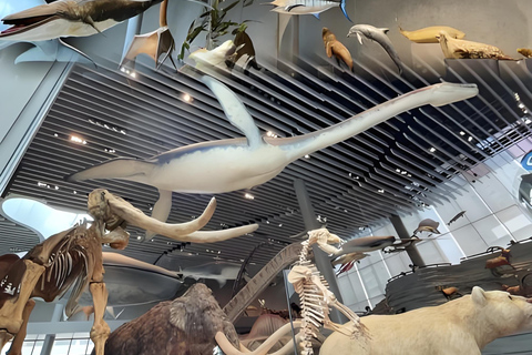 Shanghai: Yu Garden, City God Temple & River Cruise Tour