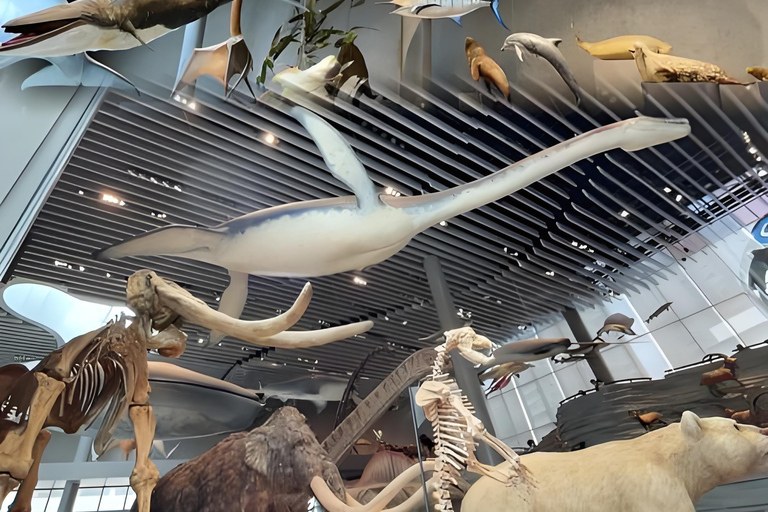 Shanghai: Yu Garden, City God Temple & River Cruise Tour