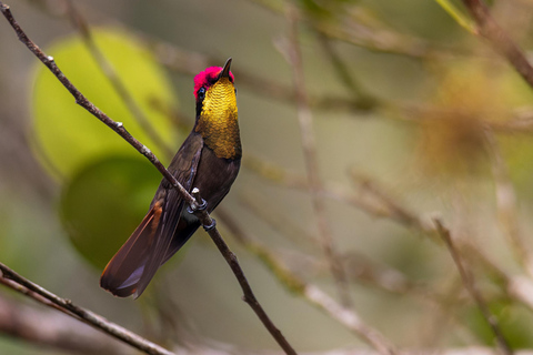 Visita al Jardín del Colibrí y la Piscina Natural