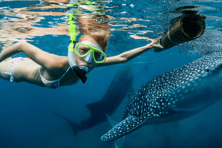 Ultimate 4-Day Cebu to Bohol Tour