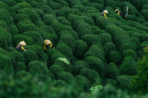 Wuxi: Hangzhou Nine Creeks & Longjing Tea Village Day Trip
