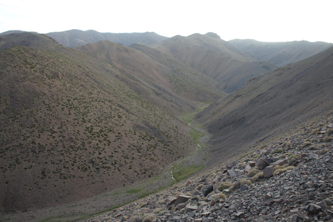 Agadir/Taghazout: Tour de medio día por el Valle del Paraíso con almuerzoExcursión con almuerzo