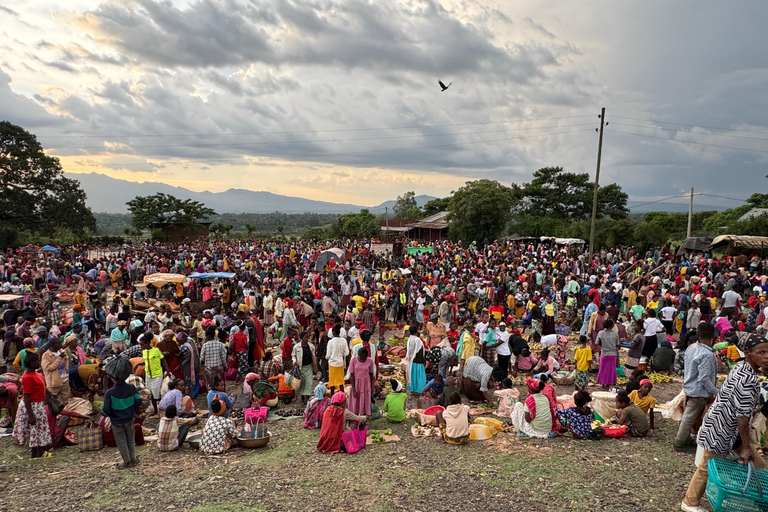 Addis Ababa: 14-Day National Parks and Wildlife Tour