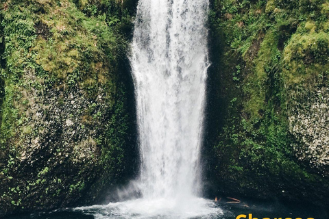 Cali: Trilha de montanha com guia e recolha ecológicaCali: Trilha na montanha com guia e coleta ecológica
