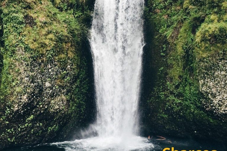 Cali: Trilha de montanha com guia e recolha ecológicaCali: Trilha na montanha com guia e coleta ecológica