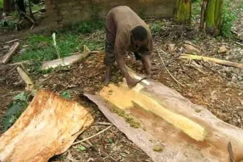 Jinja: Barkcloth Painting and Basket Weaving Workshop