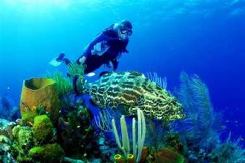 Cham Islands - Explore Islands Snorkelling Or Diving 2 Times Diving 1 Time By Speedboat