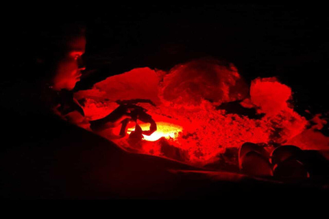 Boa Vista: Ethical Sea Turtle Conservation Camp with a Biologist