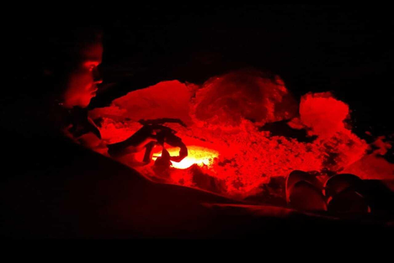 Boa Vista: Ethical Sea Turtle Conservation Camp with a Biologist