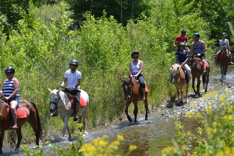 Marmaris: Guided Horseback Riding Tour with Hotel Pickup Horseback Riding Experience with Hotel Transfers