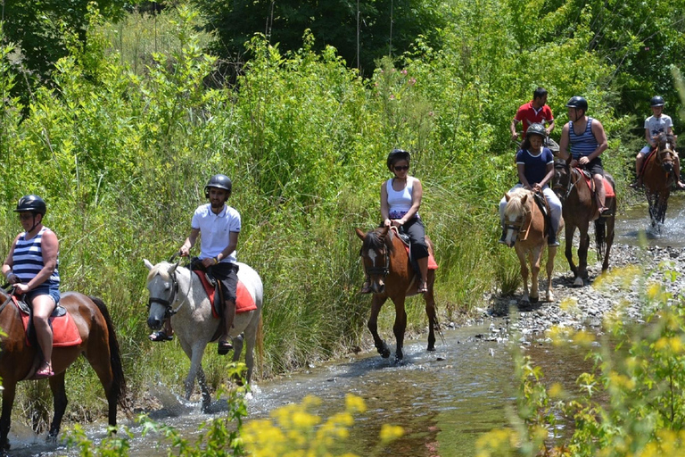 Marmaris: Guided Horseback Riding Tour with Hotel Pickup Horseback Riding Experience with Hotel Transfers