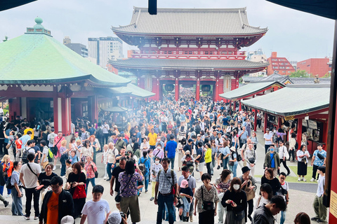 Excursión privada de un día a Tokio con conductor/guía de habla inglesa