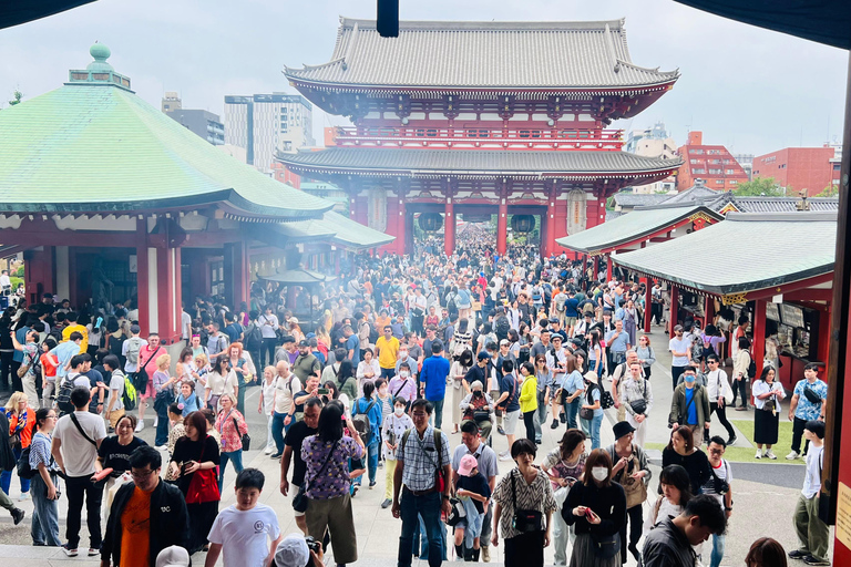 Excursión privada de un día a Tokio con conductor/guía de habla inglesa