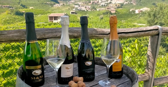 Prosecco-Weintour in kleiner Gruppe ab Venedig (Boutique-Weingut)