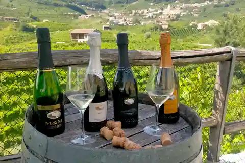 Prosecco Wine Tasting Tour. Half Day. From Venice