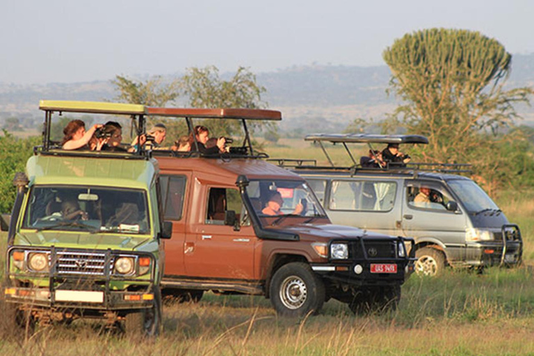 Uganda: 3-dniowe safari w Parku Narodowym Królowej Elżbiety