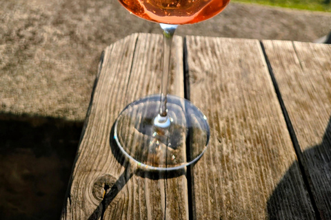 Tegernsee to Schliersee: Guided panoramic hike on the Prinzenweg