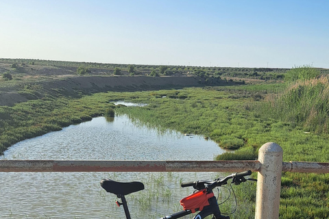 Fast day in Zaghouan: archaeology and adventure