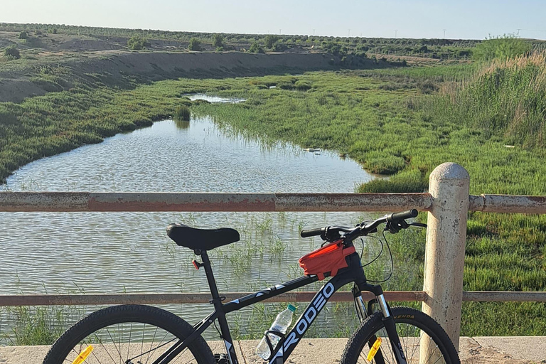 Fast day in Zaghouan: archaeology and adventure