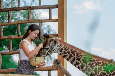 Arusha: Excursión de un día al Parque Nacional del Kilimanjaro con gatos serval