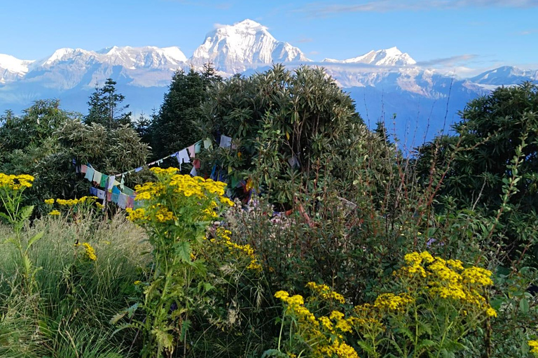 From Pokhara: 3 Night 4 Days Ghandruk Poon Hill Trek