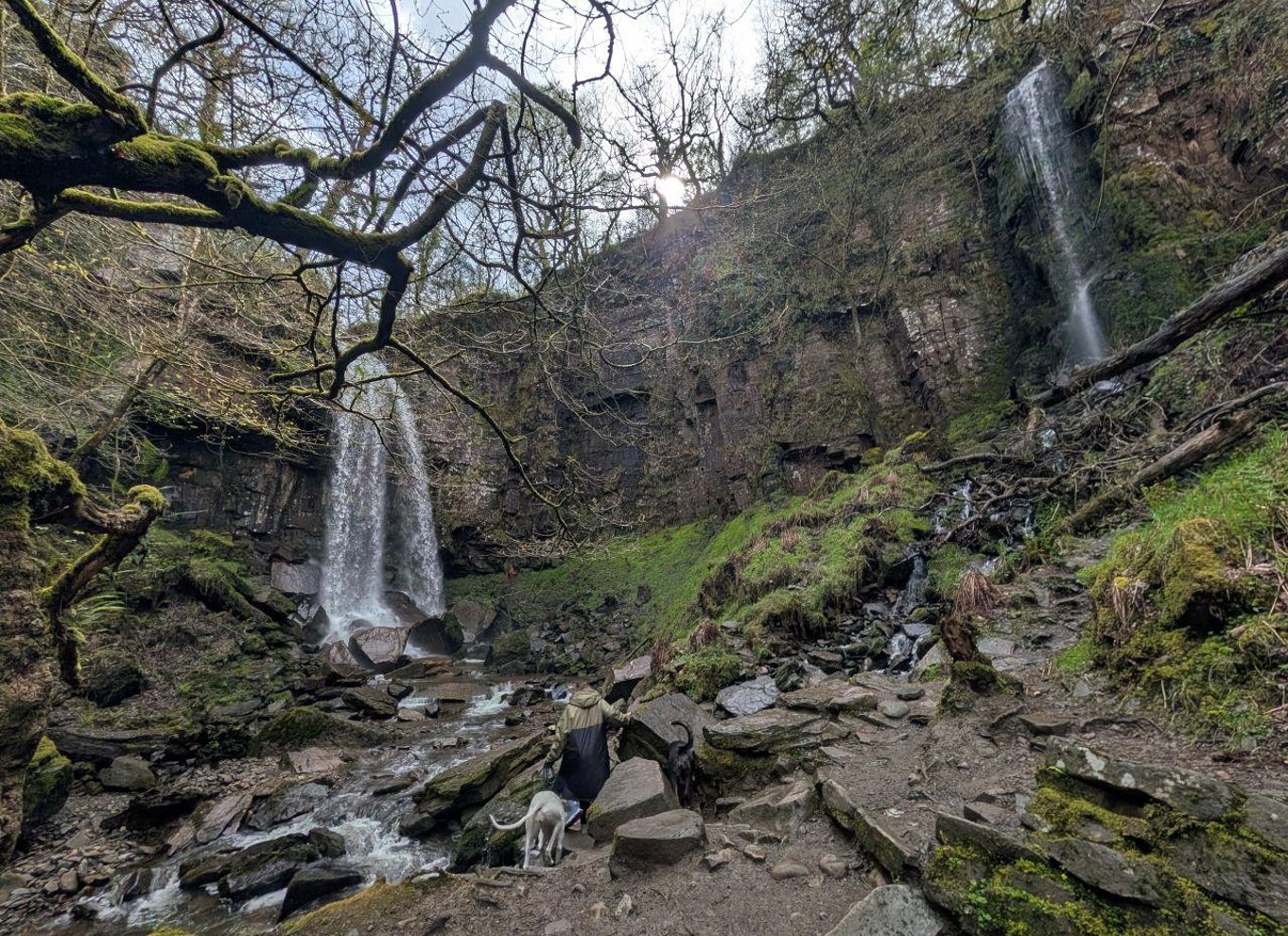 Fra Cardiff: Guidet tur til vandfald i South Wales
