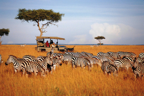7-Day Kenya Classic Safari