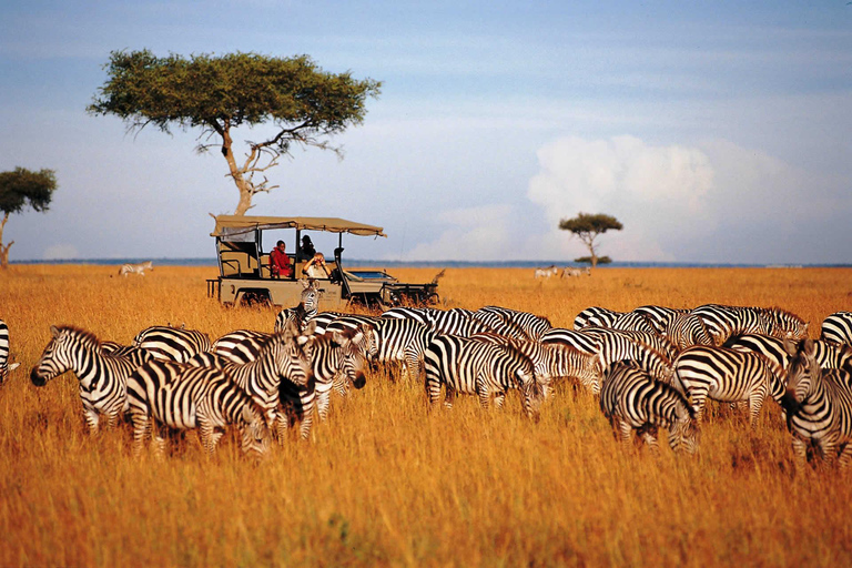 7-Day Kenya Classic Safari
