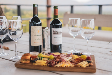 Santiago: El Principal Premium Winery in the Maipo Valley