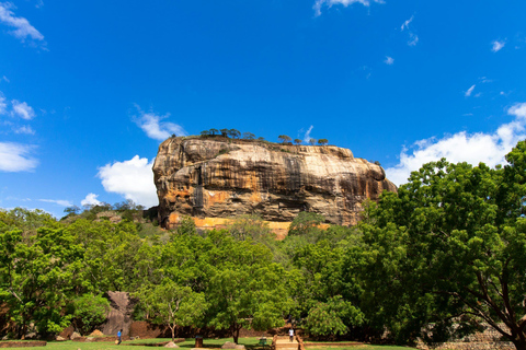 Jednodniowa wycieczka do Sigiriya i Dambulla