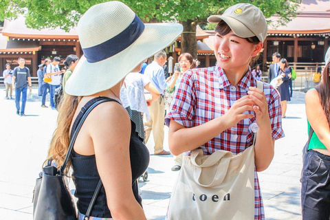 Excursion d&#039;une journée à Tokyo ! Visite privée personnalisable avec des guides expertsVisite de 5 heures