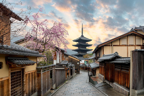 Da Osaka:Tour privato di Kyoto e Nara (autista parlante inglese)Kyoto: Tour panoramico privato con autista che parla inglese