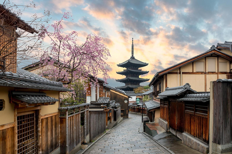 Da Osaka:Tour privato di Kyoto e Nara (autista parlante inglese)Kyoto: Tour panoramico privato con autista che parla inglese